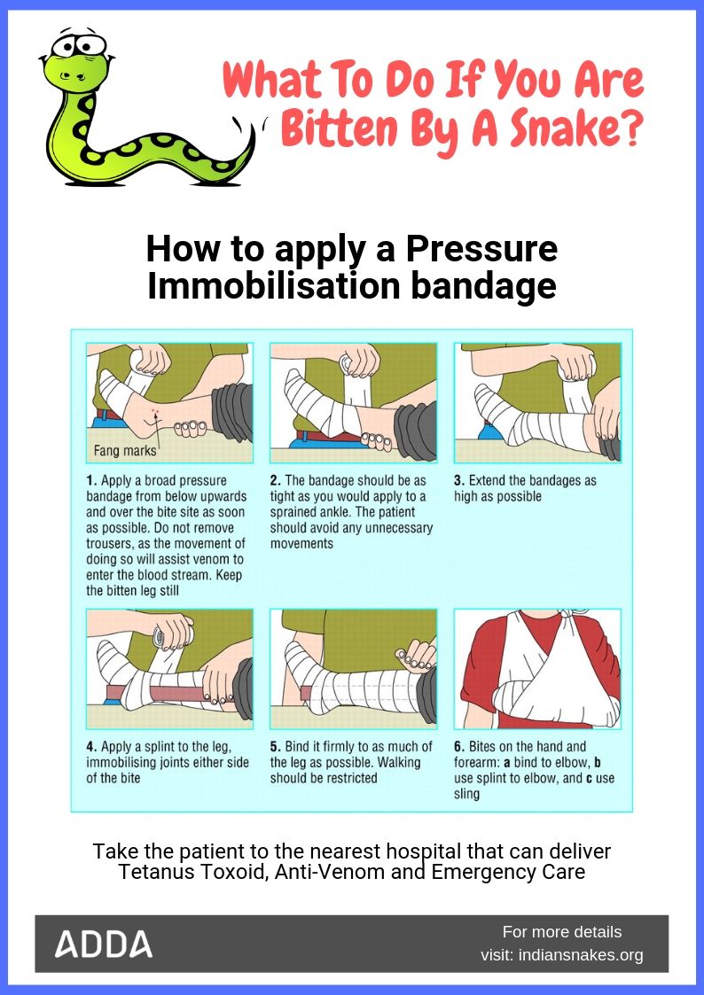 Prevención y tratamiento