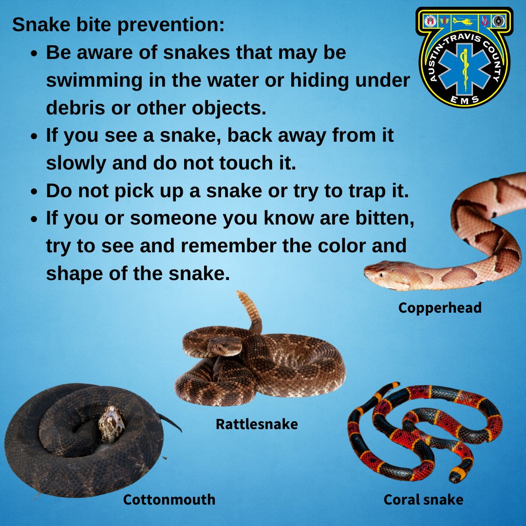 Prevención de serpientes