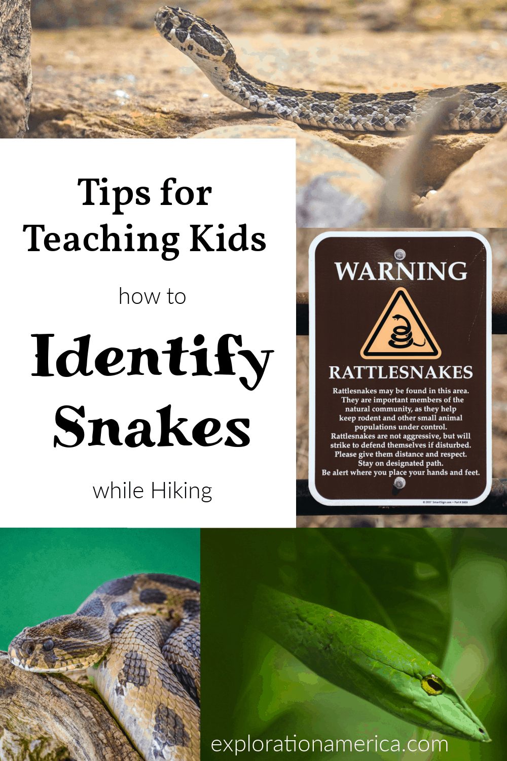 Consejos para identificar huellas de serpientes